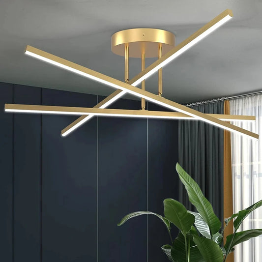 Modren ceiling lamp Nordic lamp